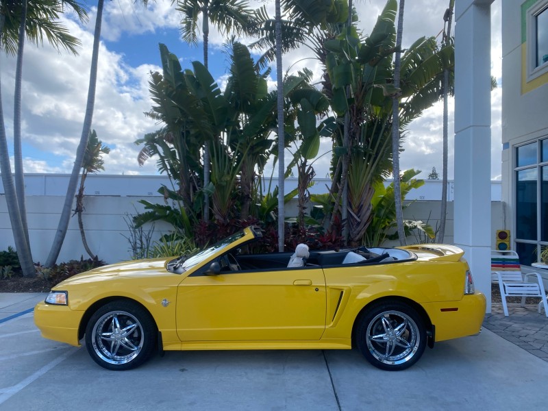 1999 Ford Mustang GT LOW MILES 8,145 1 OWNER FL CONV in , 