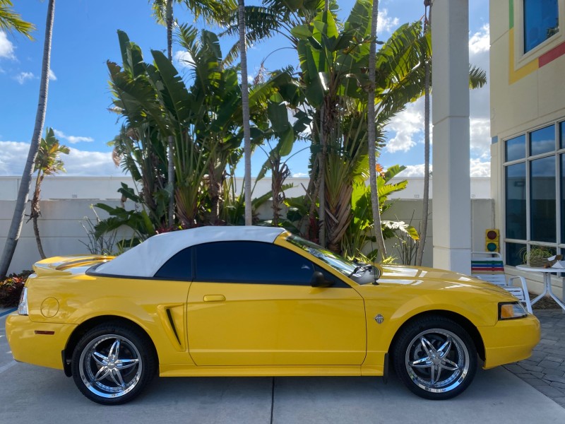 1999 Ford Mustang GT LOW MILES 8,145 1 OWNER FL CONV in , 