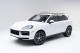 2025  Cayenne  in , 