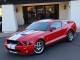 2008  Mustang Shelby GT500 in , 