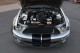 2008  Mustang Shelby GT500 in , 