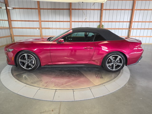 Pink (Molten Magenta Metallic Tri-coat) 2025 Ford Mustang EcoBoost Premium Convertible RWD Convertible Rear-Wheel Drive Automatic