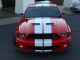2008  Mustang Shelby GT500 in , 
