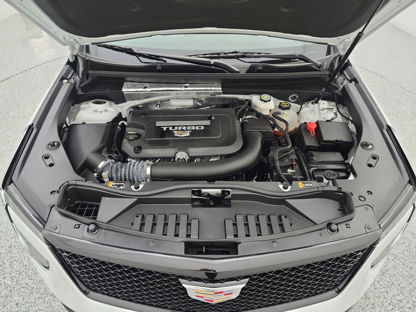 Used 2025 Crystal White Tricoat Cadillac FWD 4dr Sport image 16