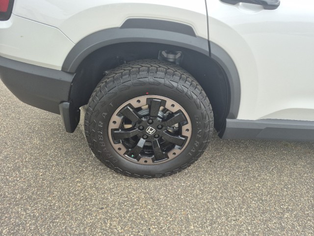HondaPassport18