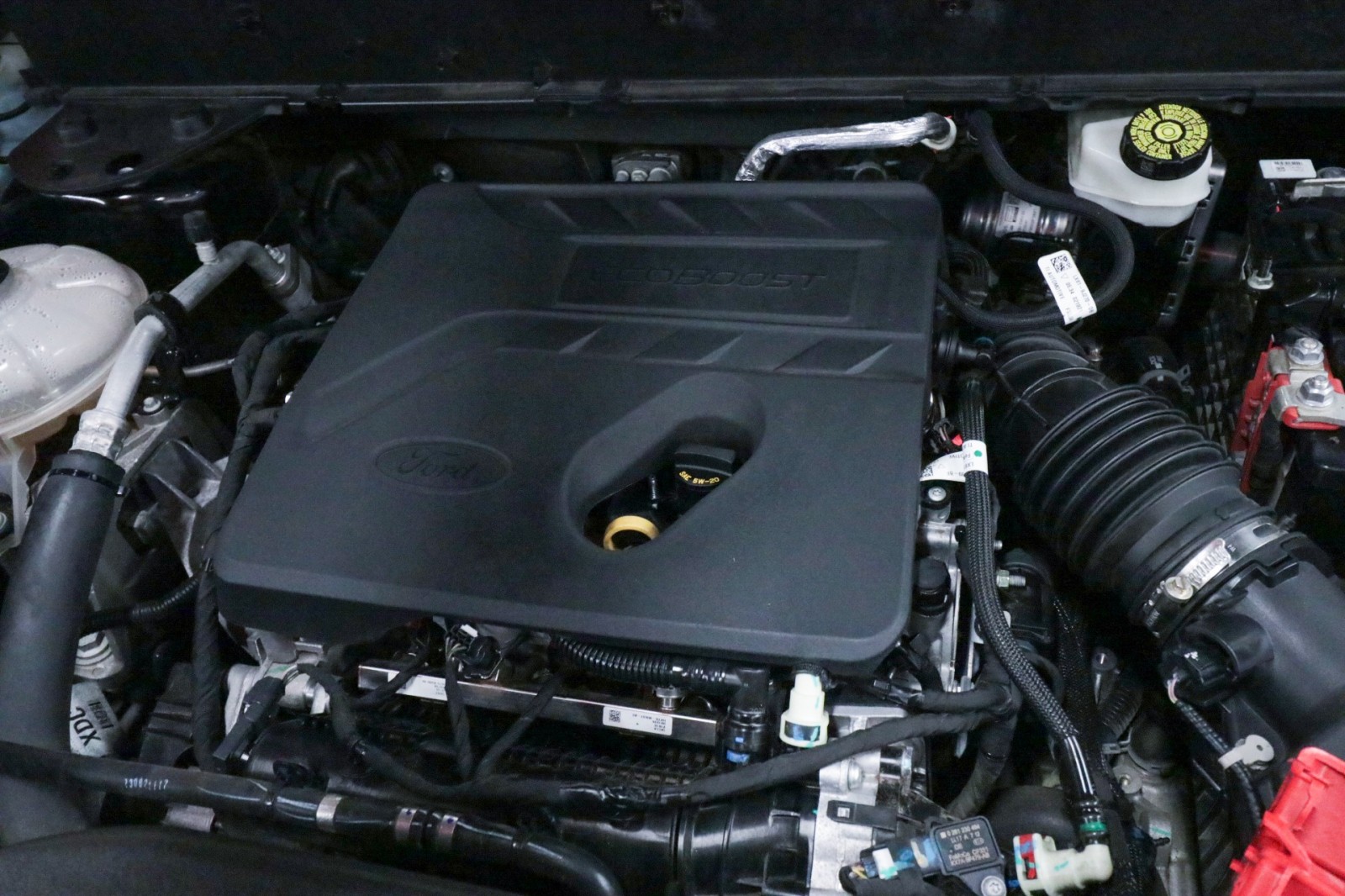 Used Car 2021 Ford Bronco Sport  Big Bend For Sale Under $25,000 In Austin, Texas