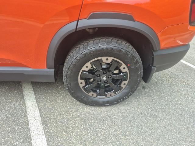 HondaPassport19