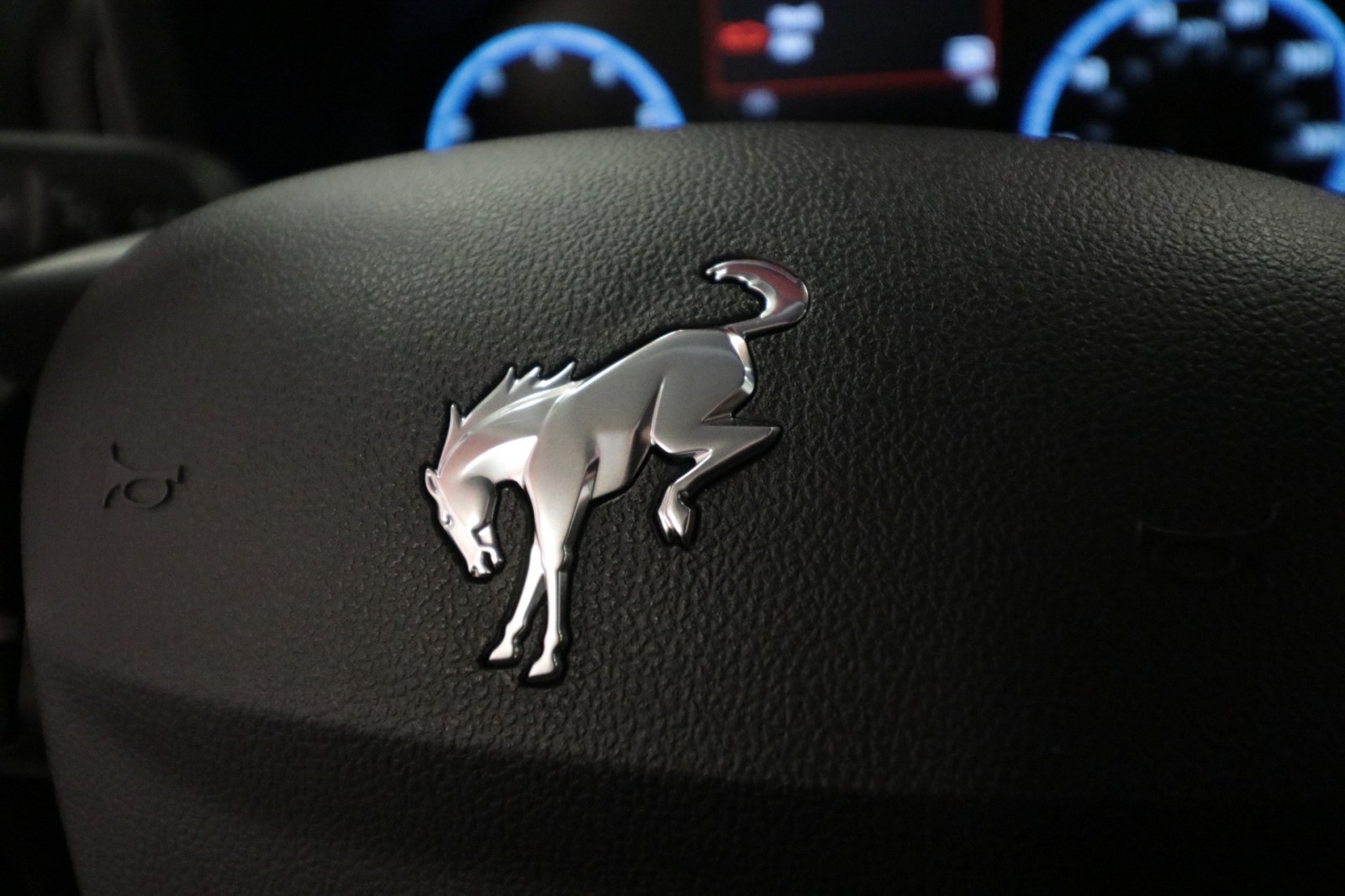 Used Car 2024 Ford Bronco Sport  Big Bend For Sale Under $30,000 In Austin, Texas