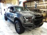 2019 Ford F-150 Raptor 4WD in Springfield, New Jersey