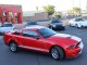 2008  Mustang Shelby GT500 in , 