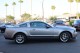 2008  Mustang Shelby GT500 in , 