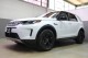 2023 Land Rover Discovery Sport SE in Plainview, 