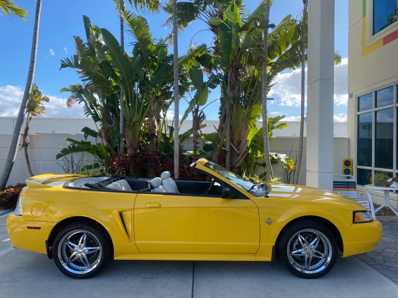 1999 Ford Mustang GT LOW MILES 8,145 1 OWNER FL CONV in , 