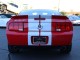 2008  Mustang Shelby GT500 in , 