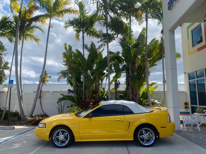 1999 Ford Mustang GT LOW MILES 8,145 1 OWNER FL CONV in , 