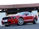 2008  Mustang Shelby GT500 in , 