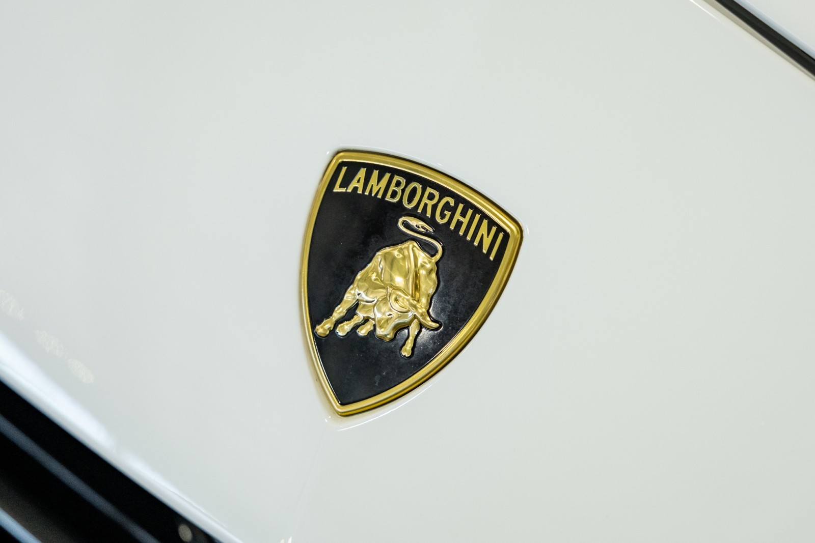 Used Car 2023 Lamborghini Urus  S For Sale Under $240,000 In Boerne, Texas