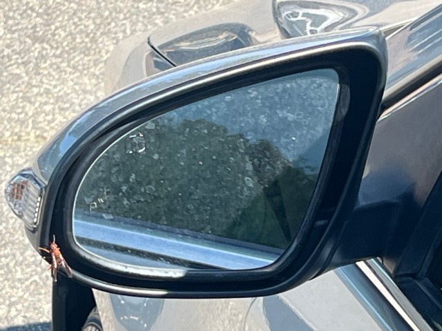 ToyotaAvalon5