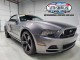 2014  Mustang GT Premium Convertible in , 