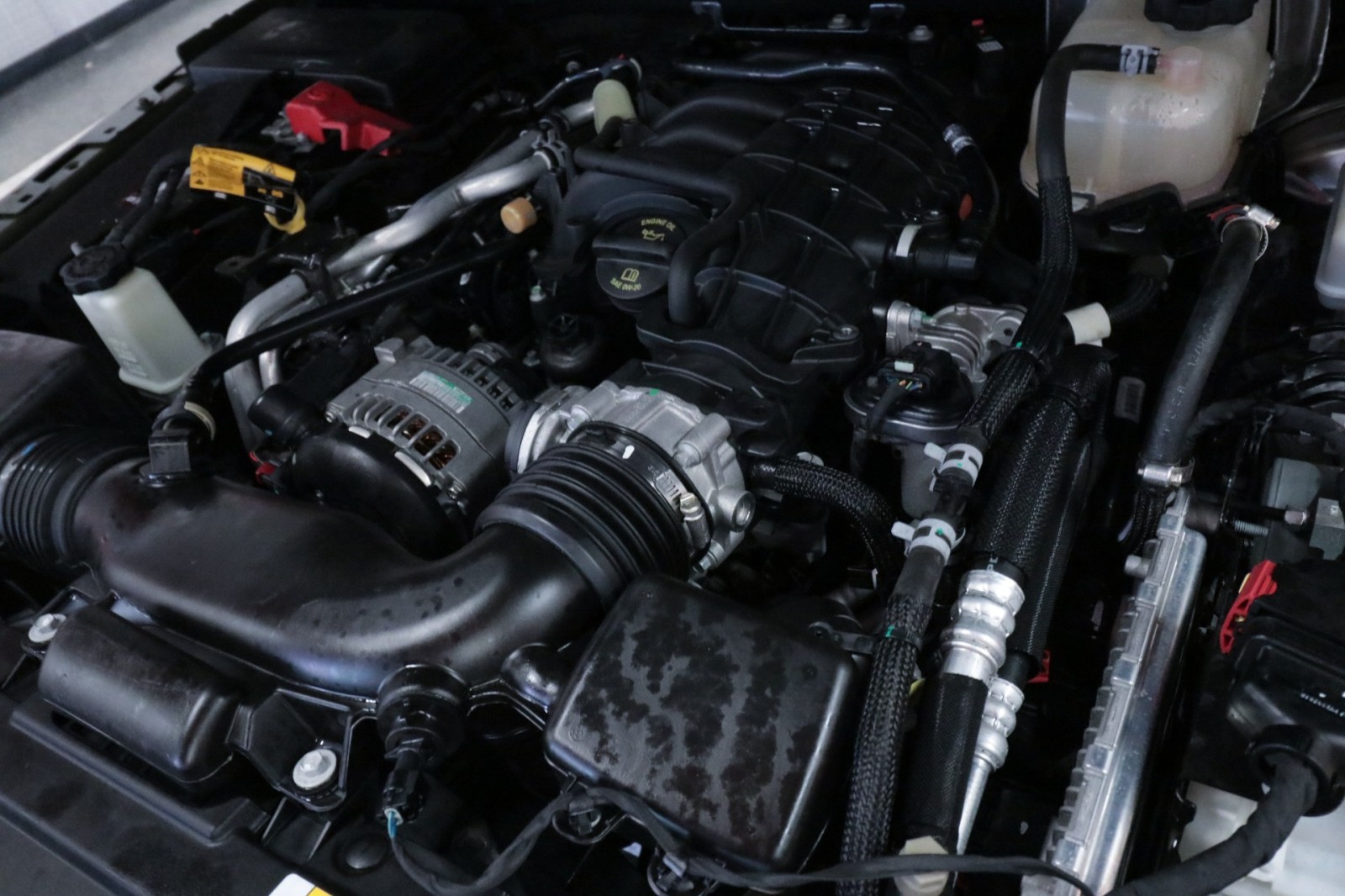 Used Car 2021 Jeep Wrangler  Unlimited 80th Anniversary For Sale Under $30,000 In Austin, Texas