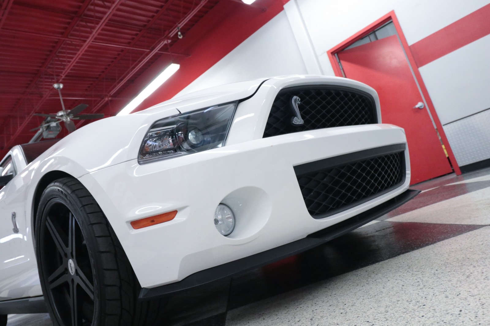 Used Car 2012 Ford Mustang  Shelby Gt500 For Sale Under $50,000 In Austin, Texas