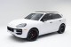 2024  Cayenne S in , 