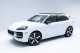 2025  Cayenne GTS in , 
