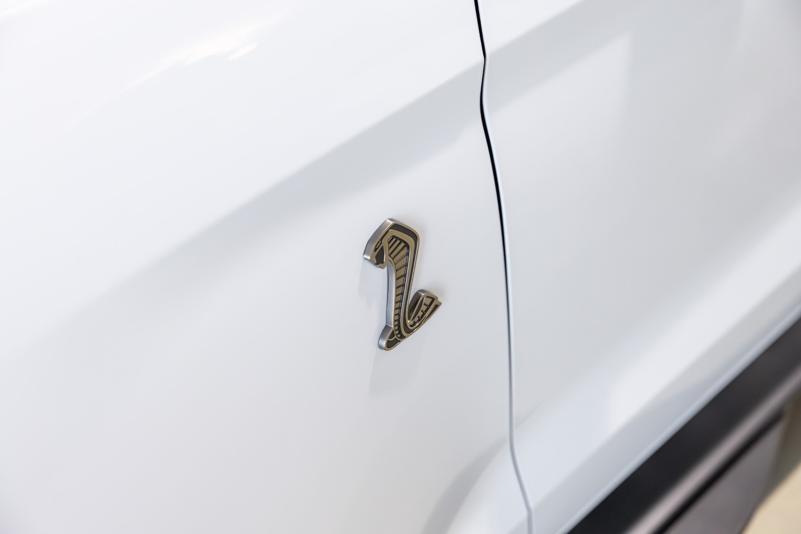 Used Car 2021 Ford Mustang  Shelby Gt500 For Sale Under $120,000 In Boerne, Texas