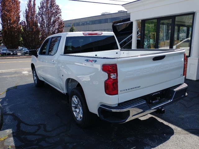 2024 Chevrolet Silverado 1500 LT 10