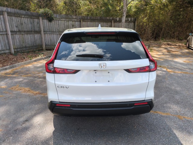 HondaCR-V6