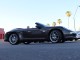 2013  911 Carrera in , 