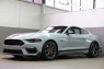 2021 Ford Mustang Mach 1 in Plainview, 