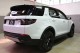 2023 Land Rover Discovery Sport SE in Plainview, 
