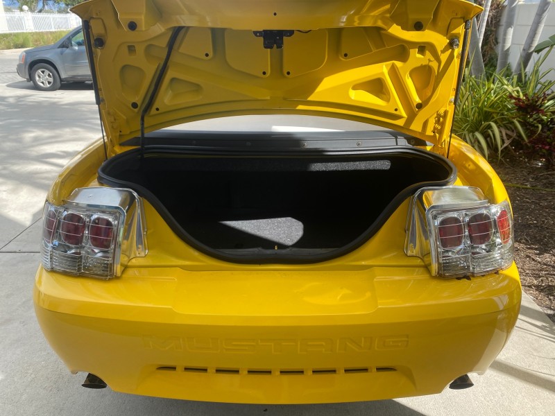 1999 Ford Mustang GT LOW MILES 8,145 1 OWNER FL CONV in , 