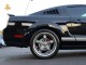 2007  Mustang Shelby GT500 in , 