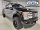 2017  Super Duty F-250 SRW Platinum FX4 in , 