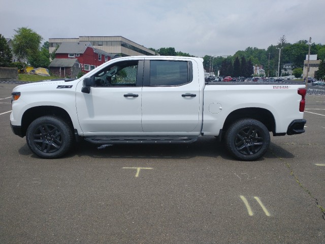 2024 Chevrolet Silverado 1500 Custom Trail Boss 16