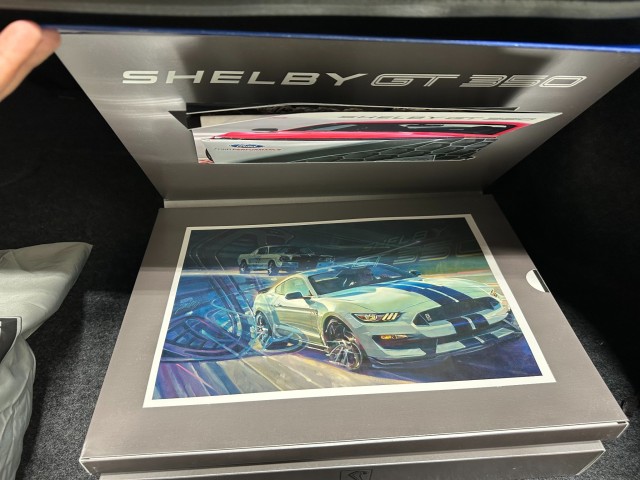 2016 Ford Mustang Shelby GT350R in , 