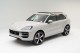 2025  Cayenne S in , 