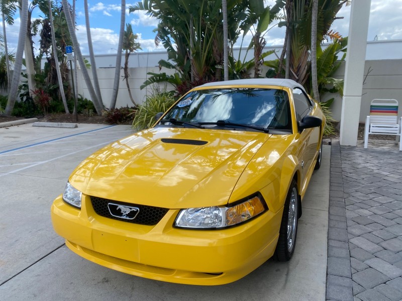 1999 Ford Mustang GT LOW MILES 8,145 1 OWNER FL CONV in , 