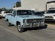 1977 Chevrolet Silverado C20 in , 