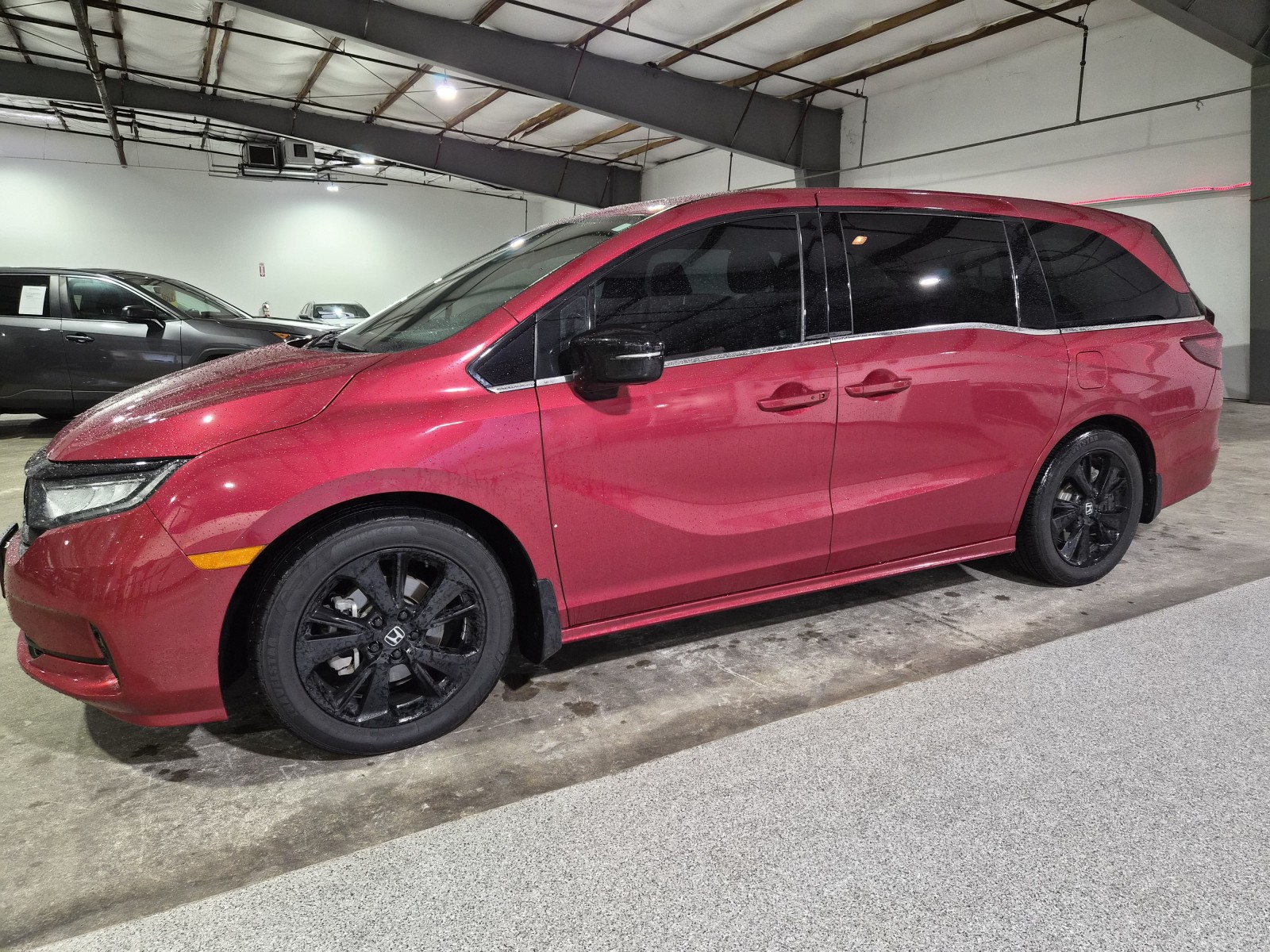Used Car 2023 Honda Odyssey  Sport For Sale Under $35,000 In Austin, Texas