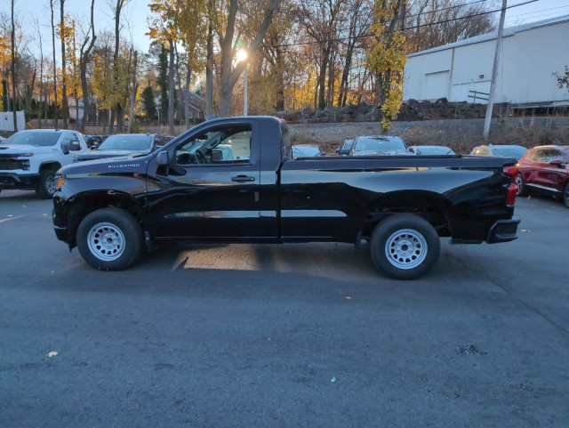 2025 Chevrolet Silverado 1500 Work Truck 9