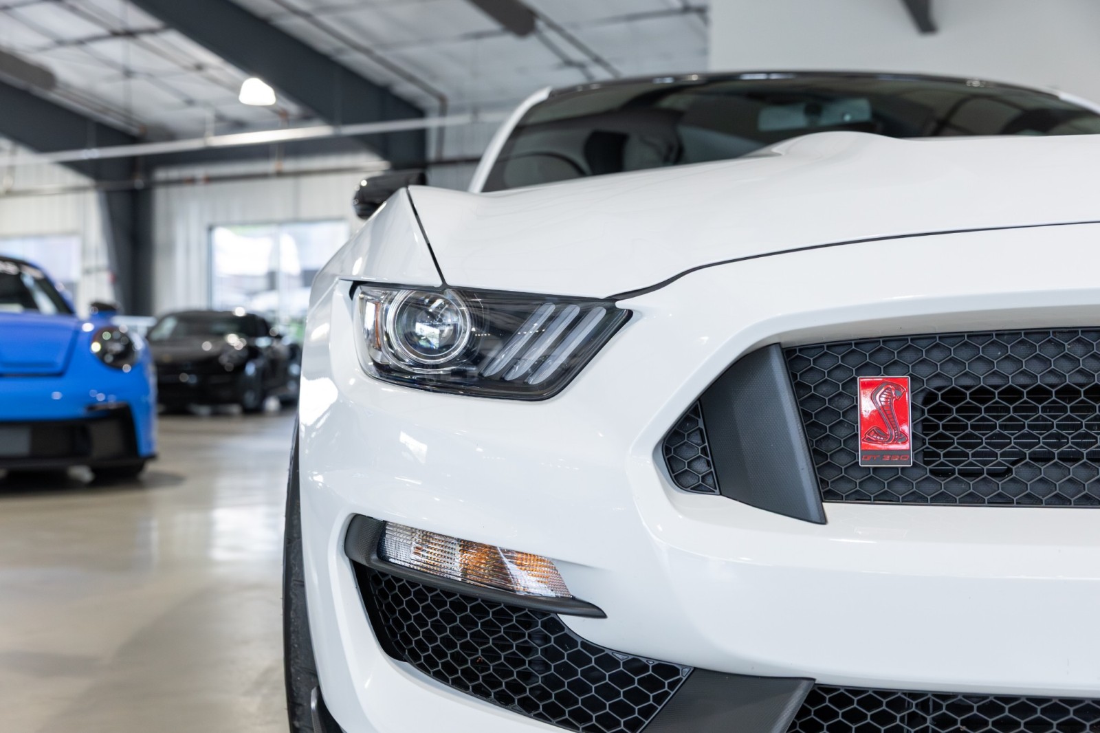 Used Car 2019 Ford Mustang  Shelby Gt350r For Sale Under $100,000 In Boerne, Texas