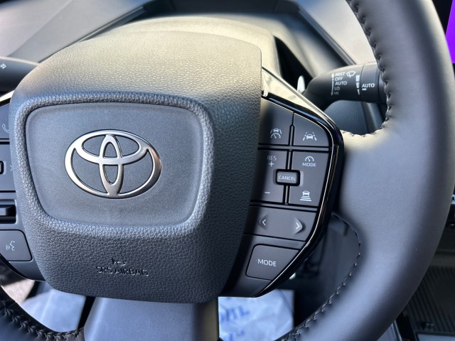 ToyotaPrius19