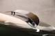 2005 Bentley Continental GT in Plainview, 