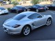 2009  Cayman  in , 