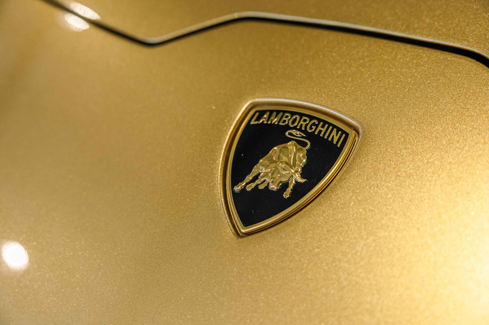 Used Car 2020 Lamborghini Huracan Evo  For Sale Under $280,000 In Boerne, Texas