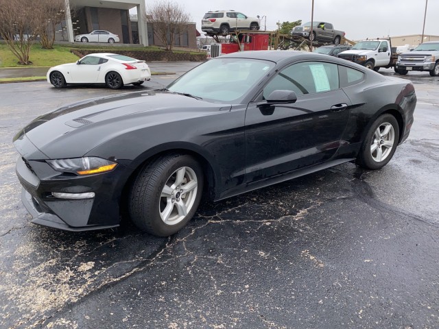 2019 Ford Mustang EcoBoost in Ft. Worth, Texas