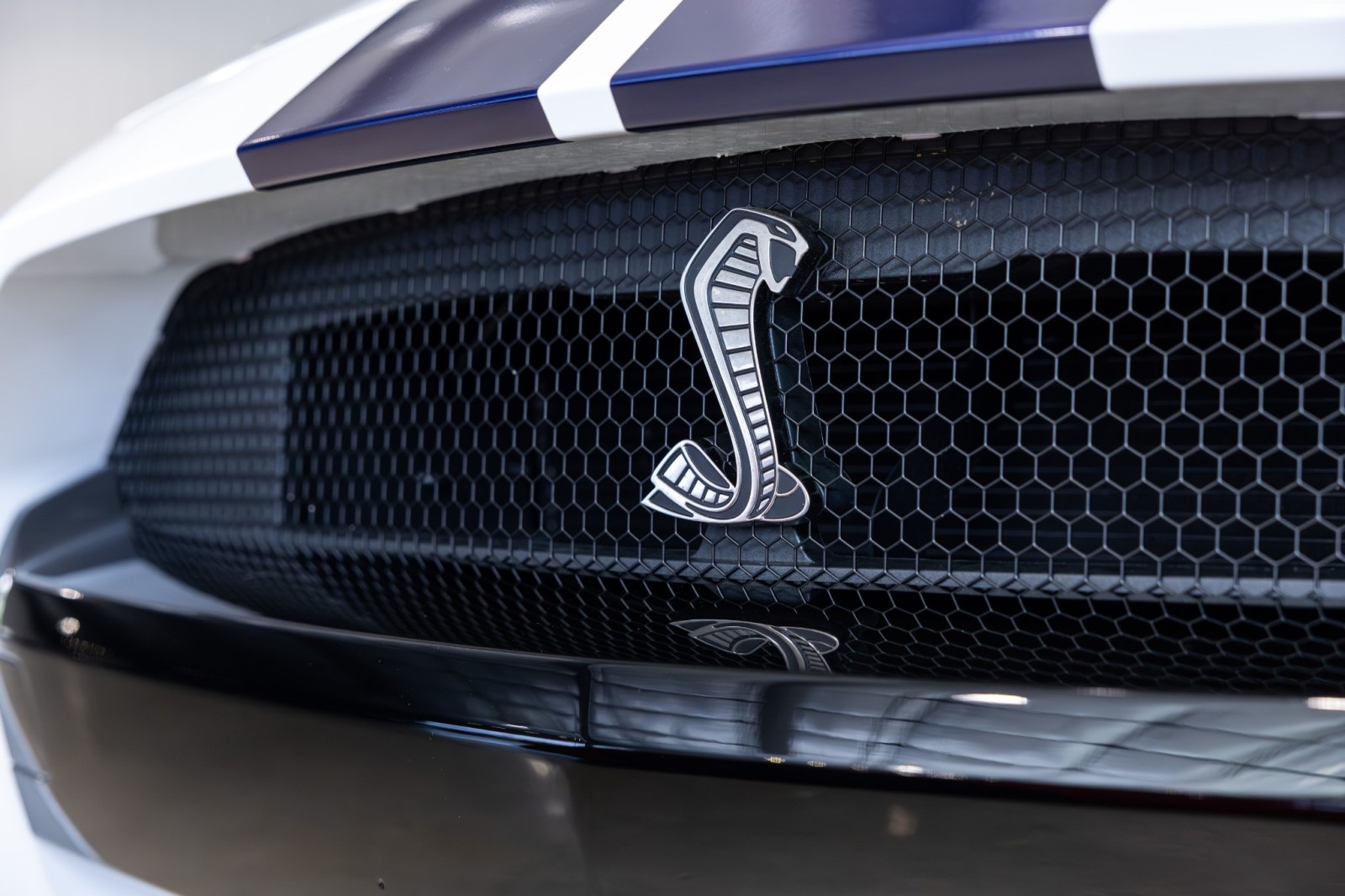 Used Car 2021 Ford Mustang  Shelby Gt500 For Sale Under $120,000 In Boerne, Texas